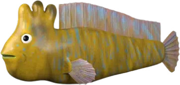 yellkw fish